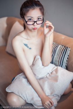 大唐女将樊梨花下载